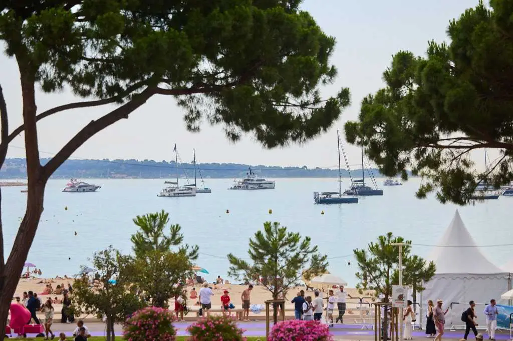 blis-cannes-2026