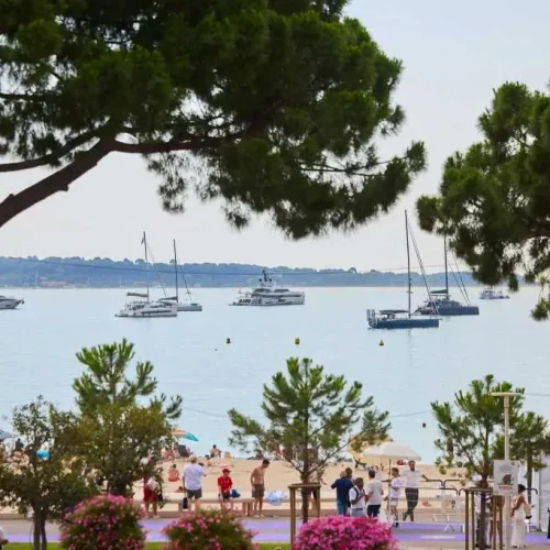 blis-cannes-2026