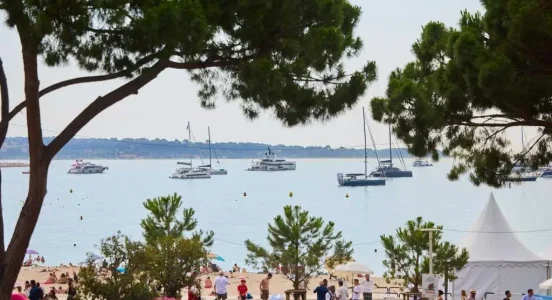 blis-cannes-2026